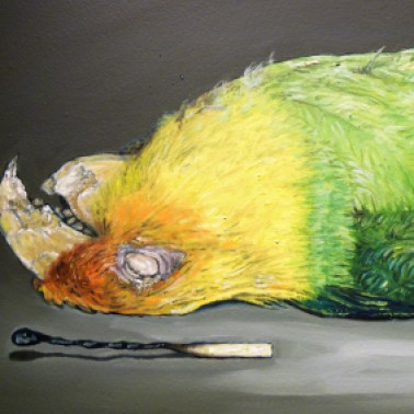 Carolina parakeet by Alberto Rey